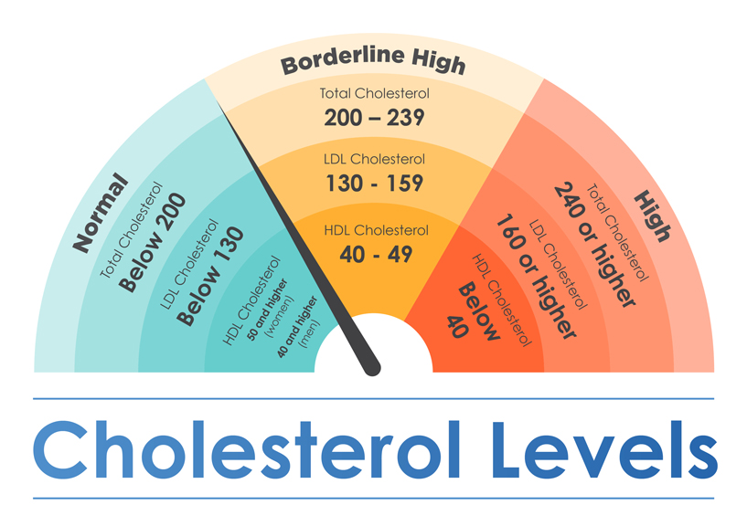 Cholesterol Range Chart For